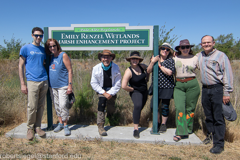 emily renzel wetlands